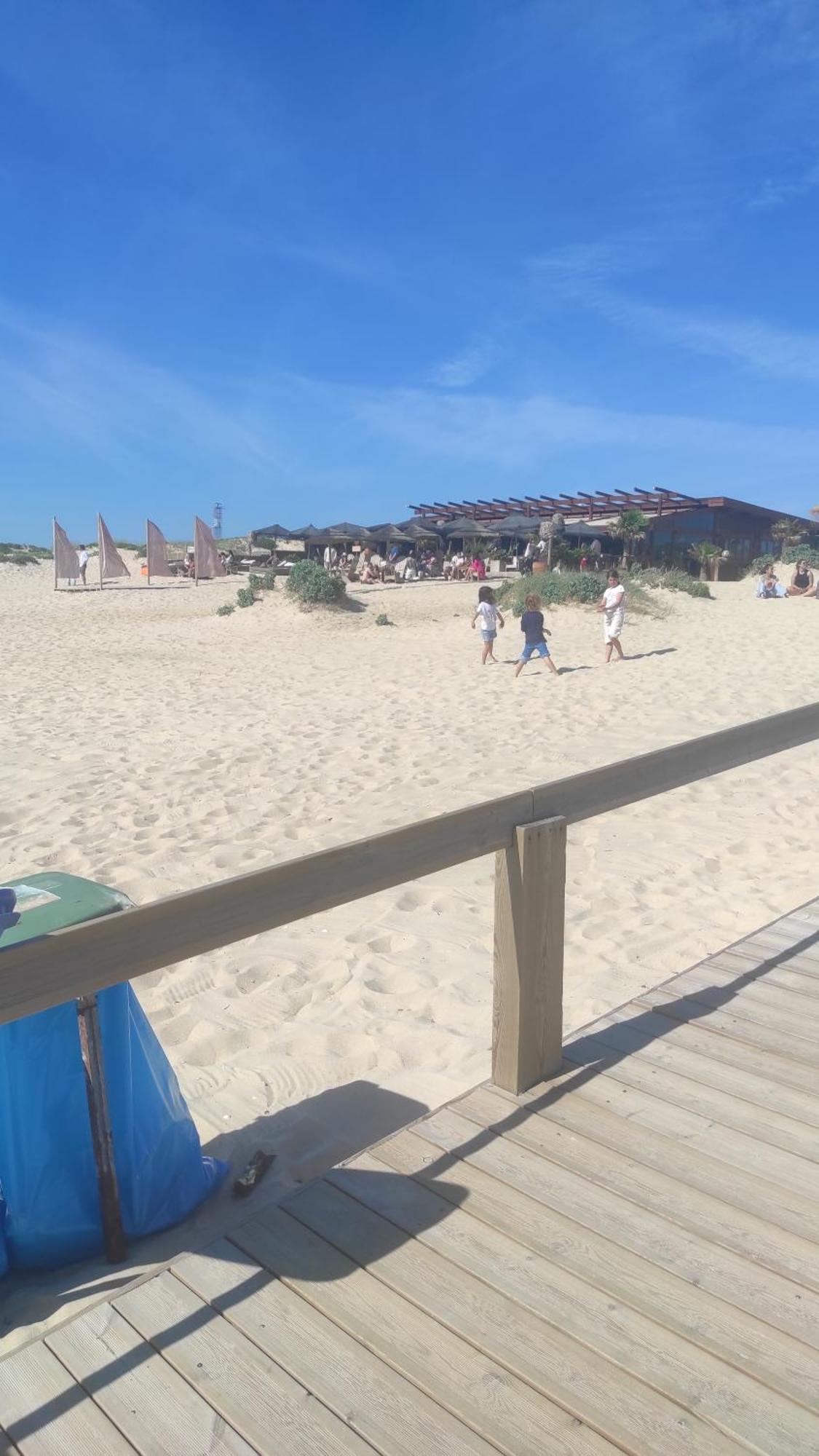 Nova Quinta Moderna Torramo Em Oliveiras, Campo De Laranjas, Na Nacional 2, Alentejo 13750 M2 Villa Torrao  Bilik gambar