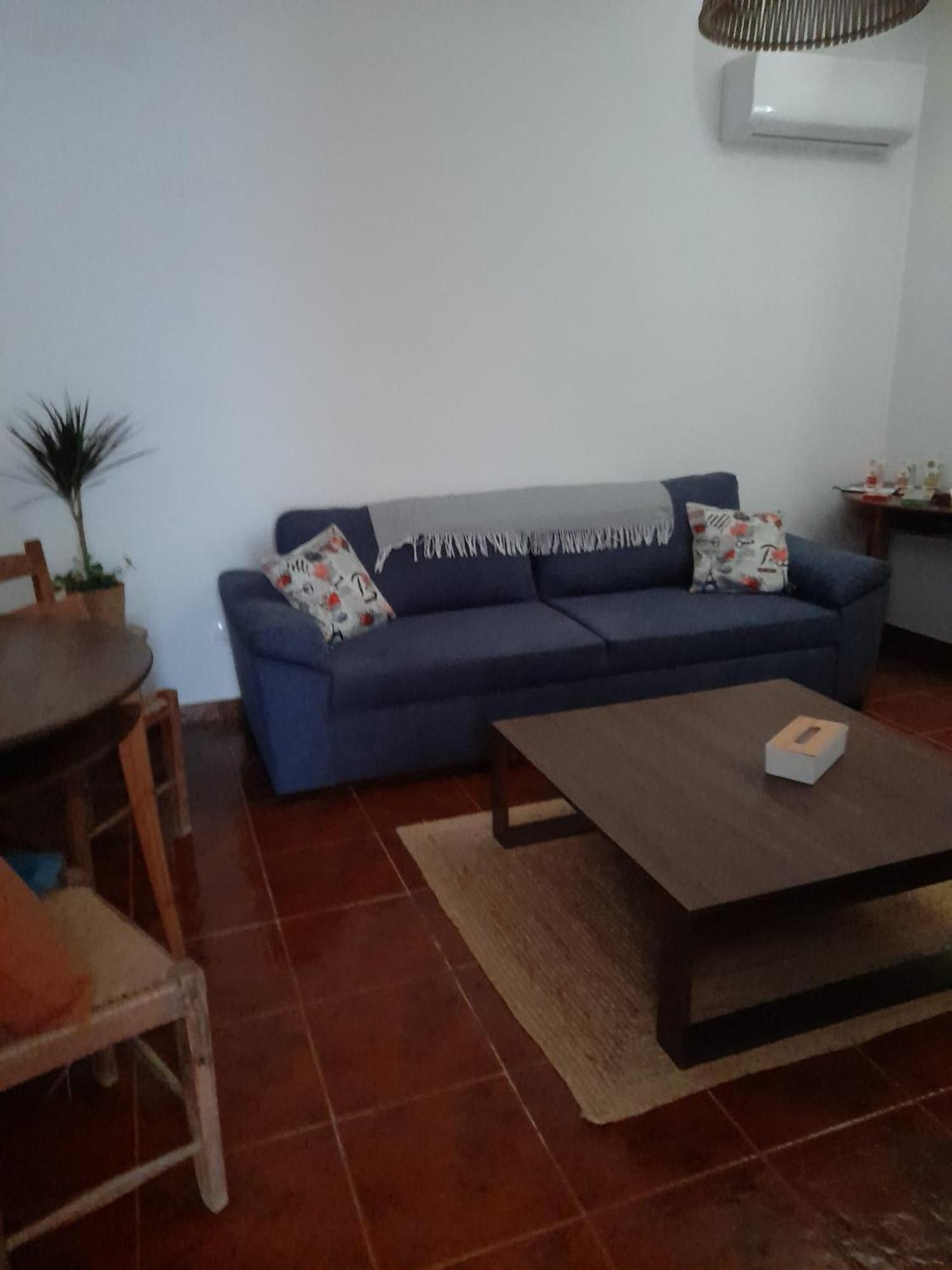 Nova Quinta Moderna Torramo Em Oliveiras, Campo De Laranjas, Na Nacional 2, Alentejo 13750 M2 Villa Torrao  Luaran gambar