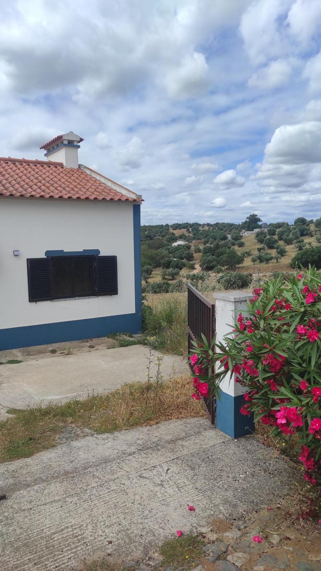 Nova Quinta Moderna Torramo Em Oliveiras, Campo De Laranjas, Na Nacional 2, Alentejo 13750 M2 Villa Torrao  Luaran gambar