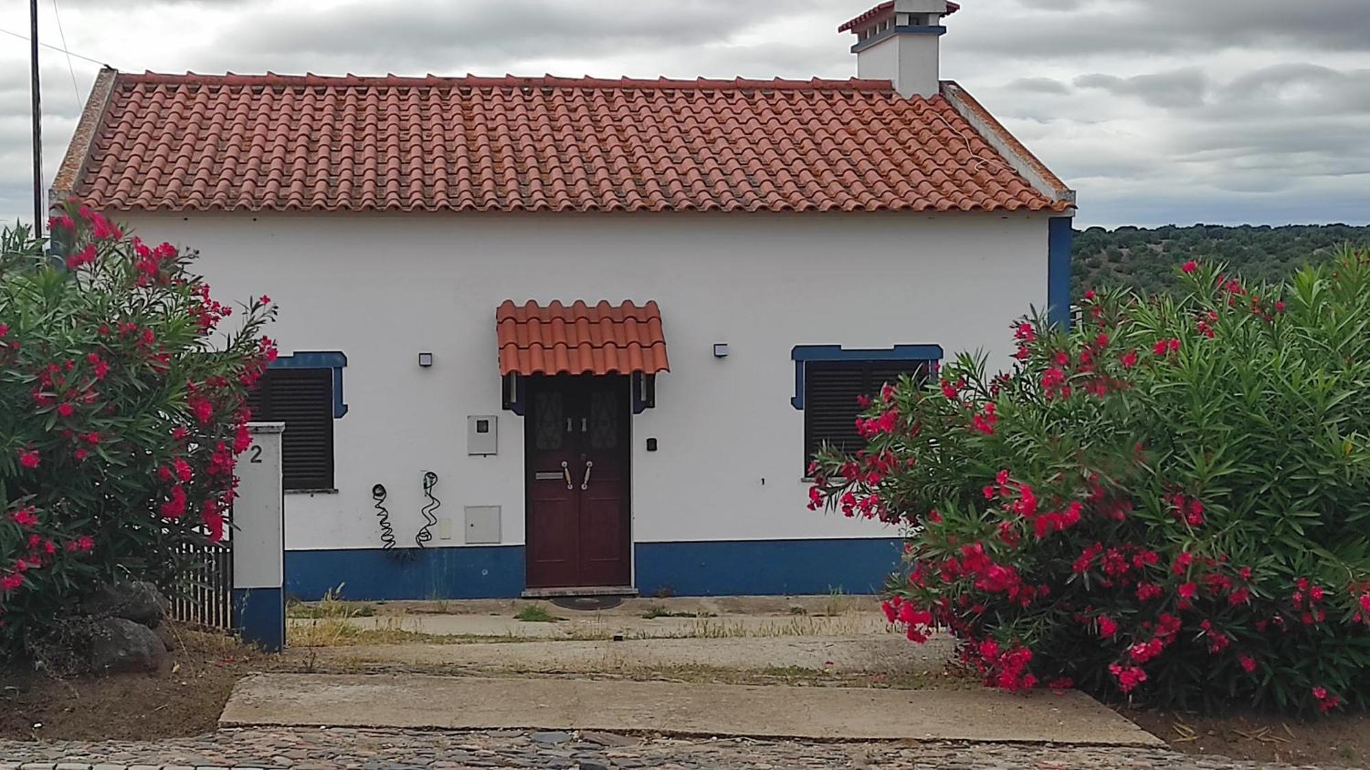 Nova Quinta Moderna Torramo Em Oliveiras, Campo De Laranjas, Na Nacional 2, Alentejo 13750 M2 Villa Torrao  Luaran gambar