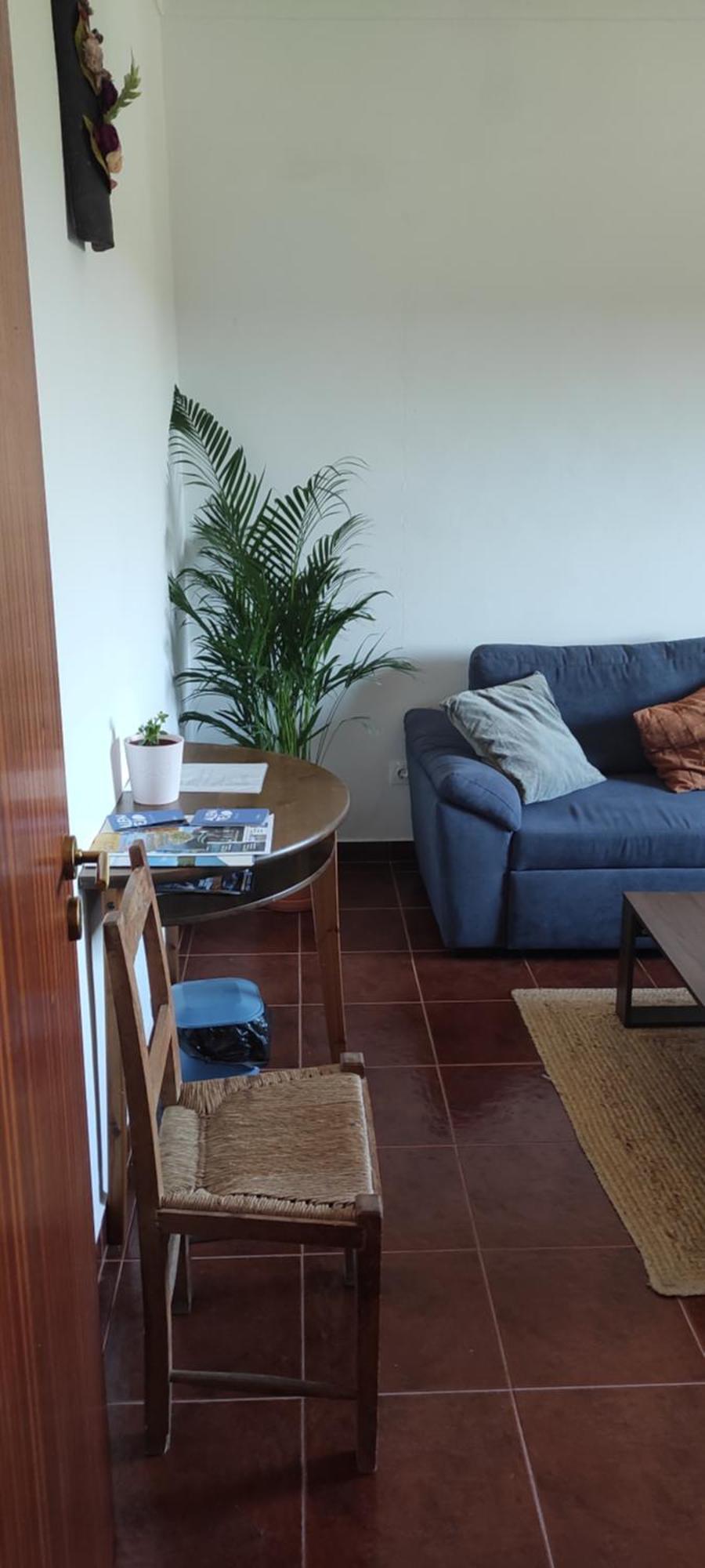 Nova Quinta Moderna Torramo Em Oliveiras, Campo De Laranjas, Na Nacional 2, Alentejo 13750 M2 Villa Torrao  Luaran gambar