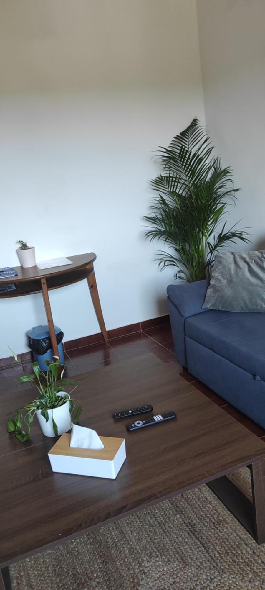 Nova Quinta Moderna Torramo Em Oliveiras, Campo De Laranjas, Na Nacional 2, Alentejo 13750 M2 Villa Torrao  Luaran gambar